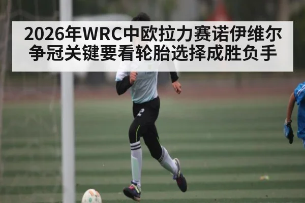 2026年WRC中欧拉力赛诺伊维尔争冠关键要看轮胎选择成胜负手